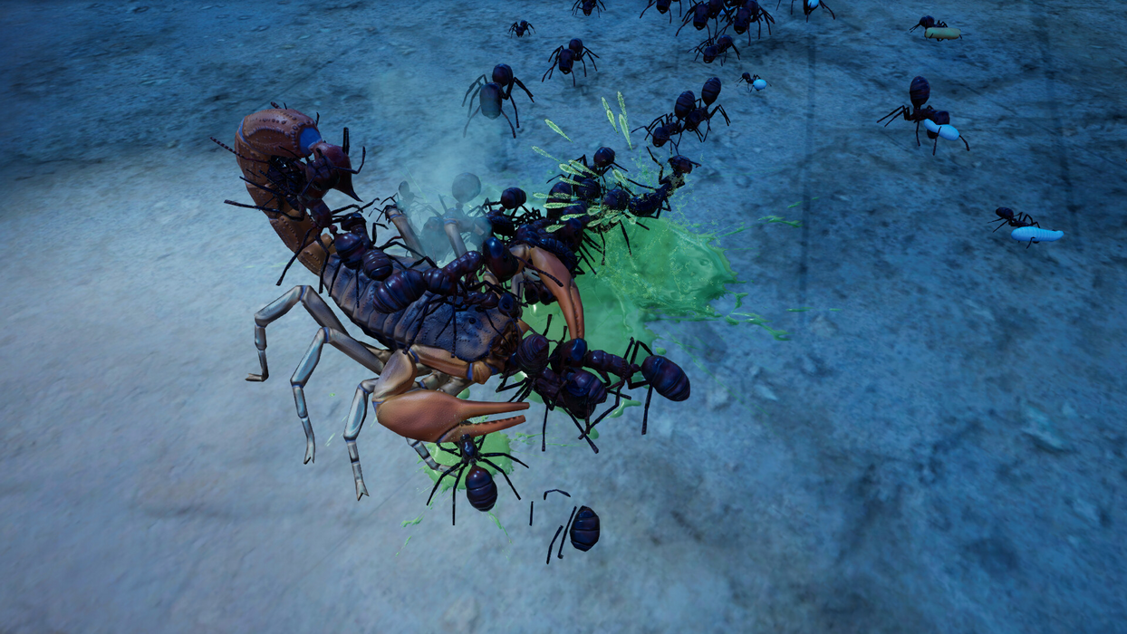 Empires of the Undergrowth - Exploding Ants  للبيع في مصر من خلال Games2Egypt