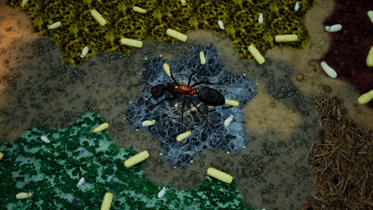 Empires of the Undergrowth - Exploding Ants  للبيع في مصر من خلال Games2Egypt