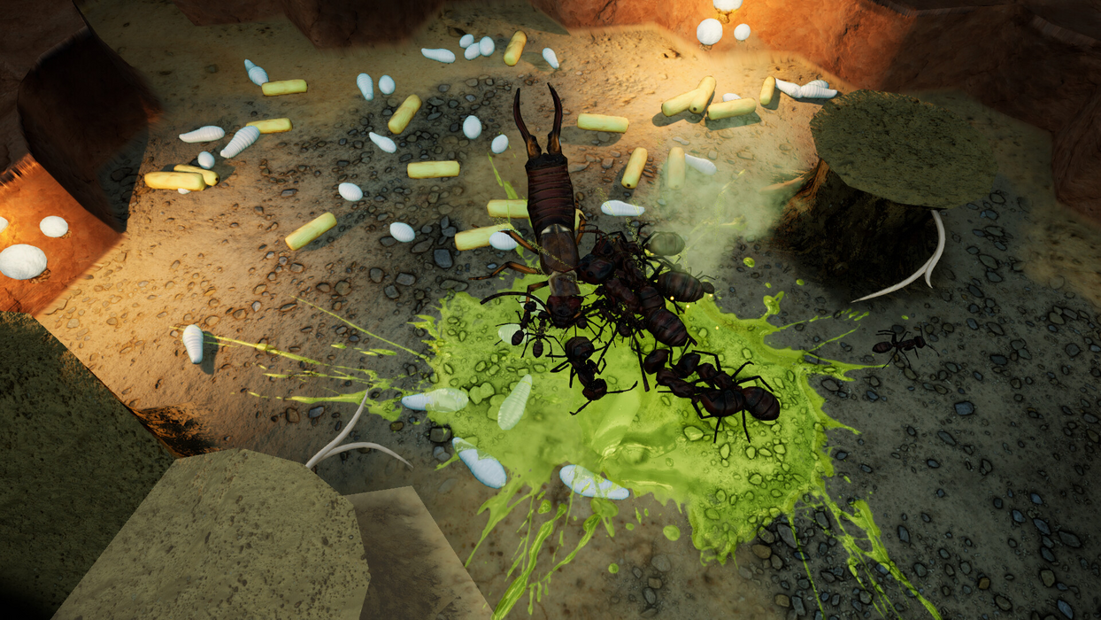 Empires of the Undergrowth - Exploding Ants  للبيع في مصر من خلال Games2Egypt