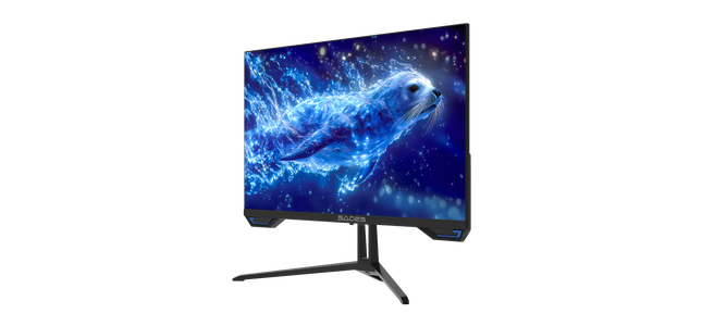 سادس SL-Sealion - F01F24B شاشة ألعاب مسطحة 24 بوصة فول أتش دي 120HZ - اسود  للبيع في مصر من خلال Games2Egypt
