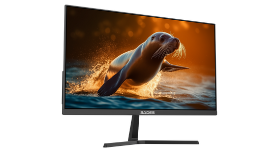 سادس AU-Sealion SA-F03F24 شاشة ألعاب FHD 240Hz - أسود  للبيع في مصر من خلال Games2Egypt