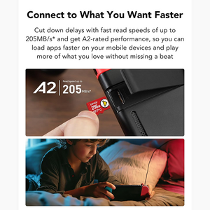 ليكسر بلاي 256 جيجابايت مايكرو اس دي كارد بسرعة فائقة 205/140MB/s لنينتندو سويتش  للبيع في مصر من خلال Games2Egypt