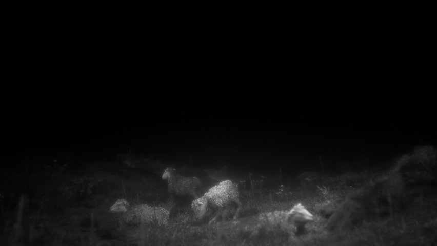 Daemonologie – image 2