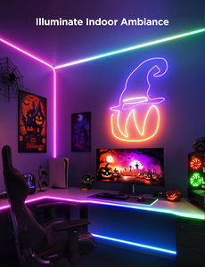 Govee H6641 Neon Rope Light for Wall Lining - 5M   for sale in Egypt from Games2Egypt