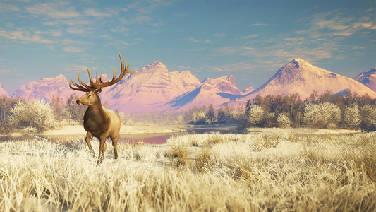 theHunter: Call of the Wild™ - Alberta Hunting Preserve  للبيع في مصر من خلال Games2Egypt