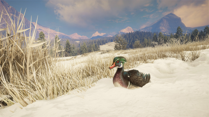 theHunter: Call of the Wild™ - Alberta Hunting Preserve – image 8