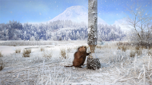 theHunter: Call of the Wild™ - Alberta Hunting Preserve  للبيع في مصر من خلال Games2Egypt