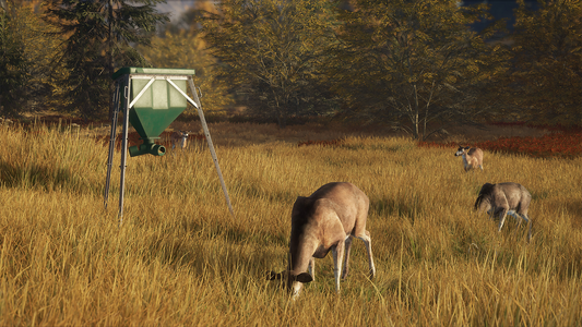 theHunter: Call of the Wild™ - Game Feeder Pack  للبيع في مصر من خلال Games2Egypt