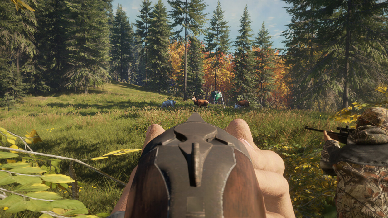 theHunter: Call of the Wild™ - Game Feeder Pack  للبيع في مصر من خلال Games2Egypt
