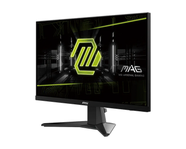 MSI MAG 256F – 24.5