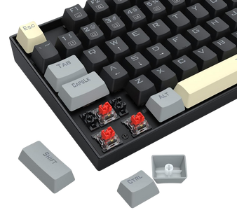 Redragon K552 LGY-R Kumara Rainbow Wired Mechanical Gaming Keyboard Red Switch - Grey/Black  for sale in Egypt from Games2Egypt