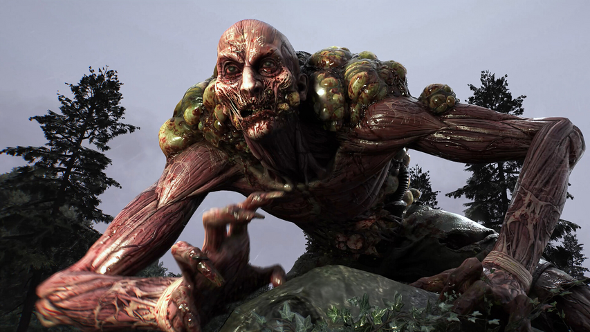 Dying Light: The Beast Deluxe Edition – image 5