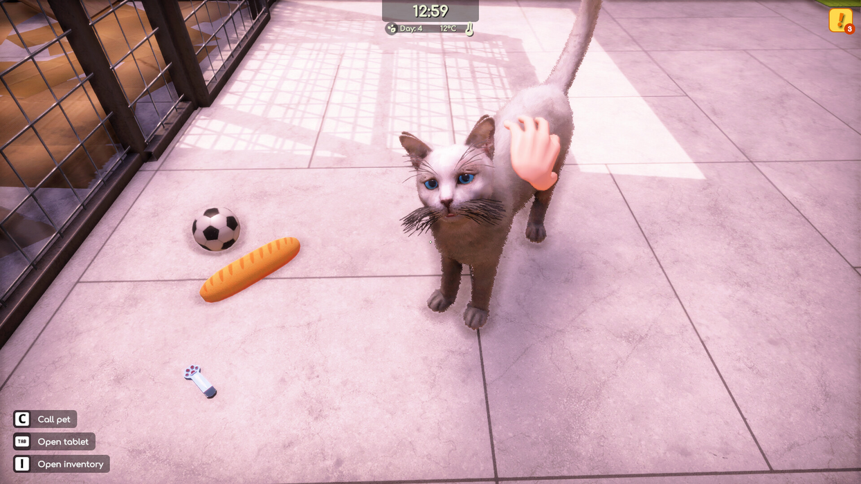 Animal Shelter 2  for sale in Egypt from Games2Egypt