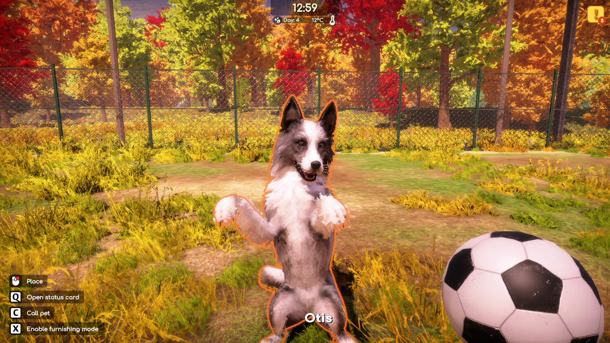 Animal Shelter 2  for sale in Egypt from Games2Egypt