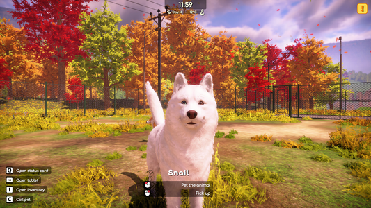 Animal Shelter 2  for sale in Egypt from Games2Egypt