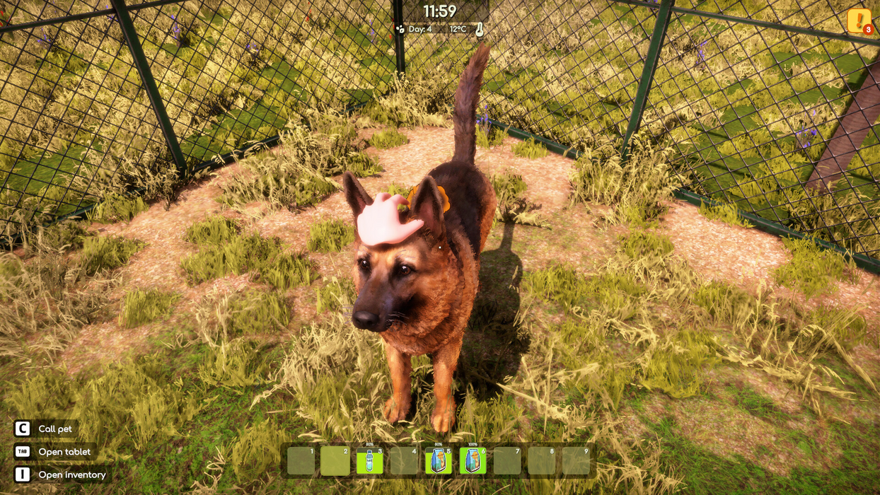 Animal Shelter 2  for sale in Egypt from Games2Egypt