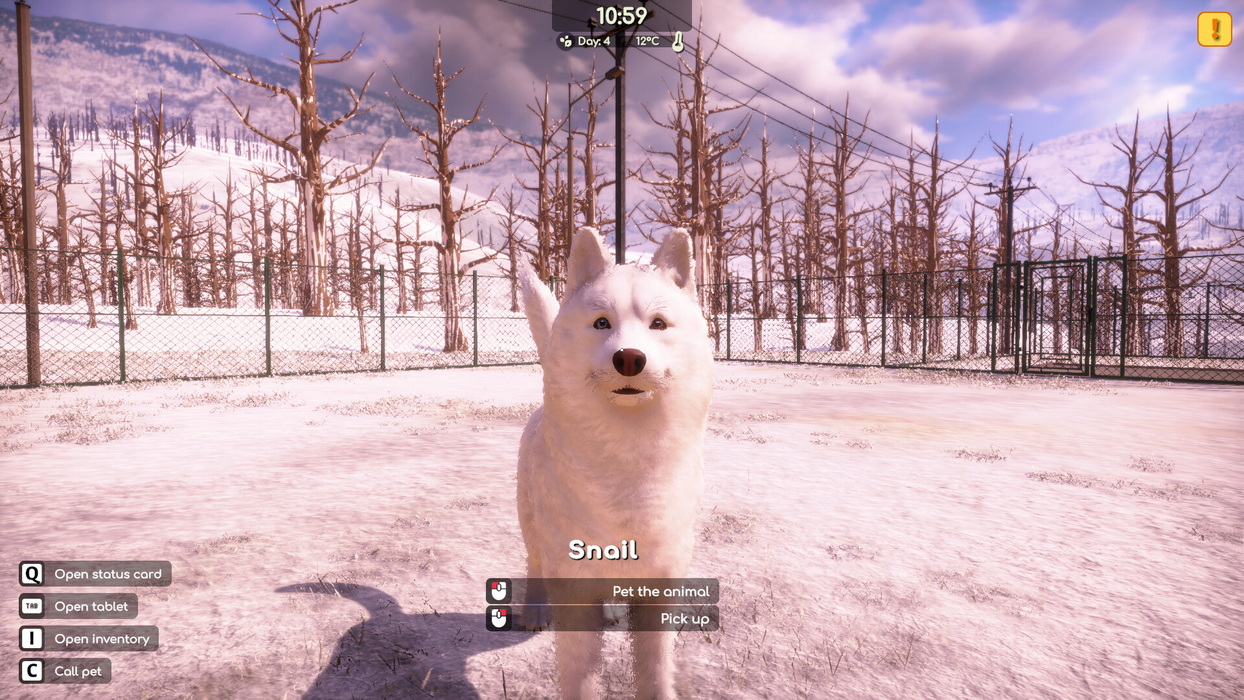 Animal Shelter 2  for sale in Egypt from Games2Egypt