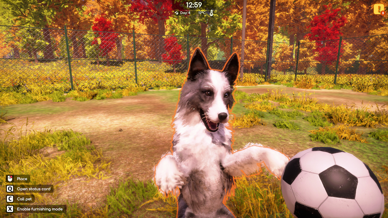 Animal Shelter 2  for sale in Egypt from Games2Egypt