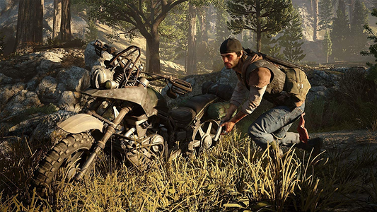 Days Gone - Arabic (Egyptian Dubbing) and English - PS4  for sale in Egypt from Games2Egypt