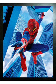 The Amazing Spider-Man 3D poster