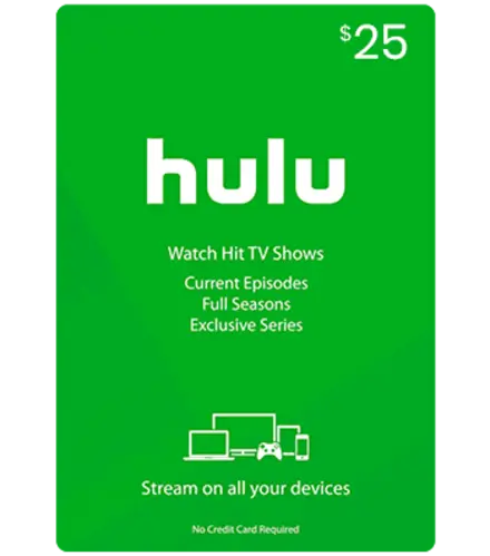 Hulu Plus 25$