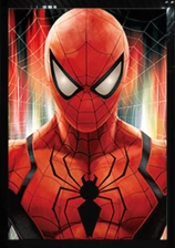 Spider Man 3D Poster 