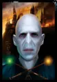 Harry Potter - 3D Poster 