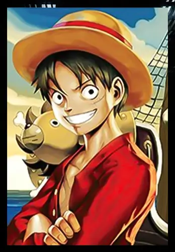 One Piece ( Portgas D. Ace, Sabo and Monkey D. Luffy ) 3D Anime Poster 