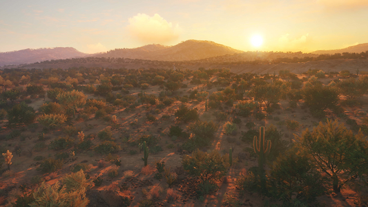 theHunter: Call of the Wild™ - Rancho del Arroyo  للبيع في مصر من خلال Games2Egypt