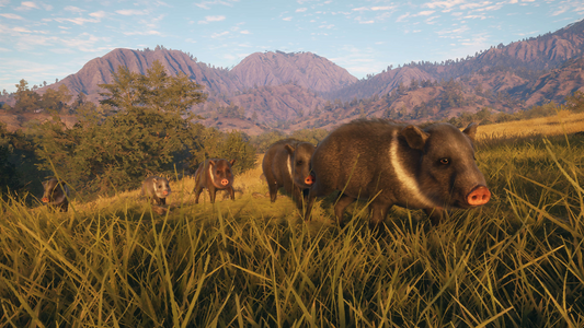 theHunter: Call of the Wild™ - Rancho del Arroyo  للبيع في مصر من خلال Games2Egypt