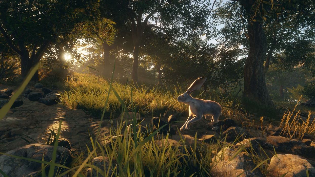 theHunter: Call of the Wild™ - Rancho del Arroyo  للبيع في مصر من خلال Games2Egypt