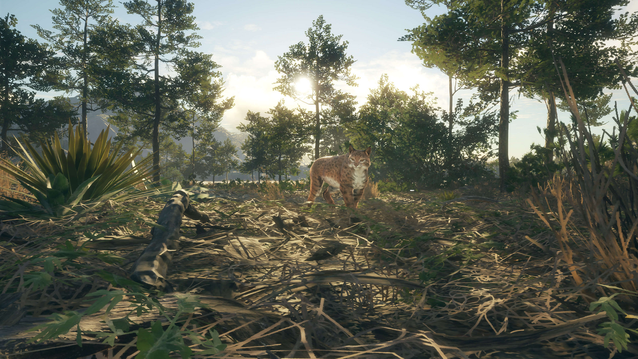 theHunter: Call of the Wild™ - Rancho del Arroyo  للبيع في مصر من خلال Games2Egypt