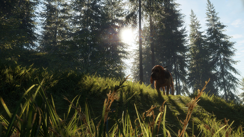 theHunter: Call of the Wild™ - Bloodhound – image 2