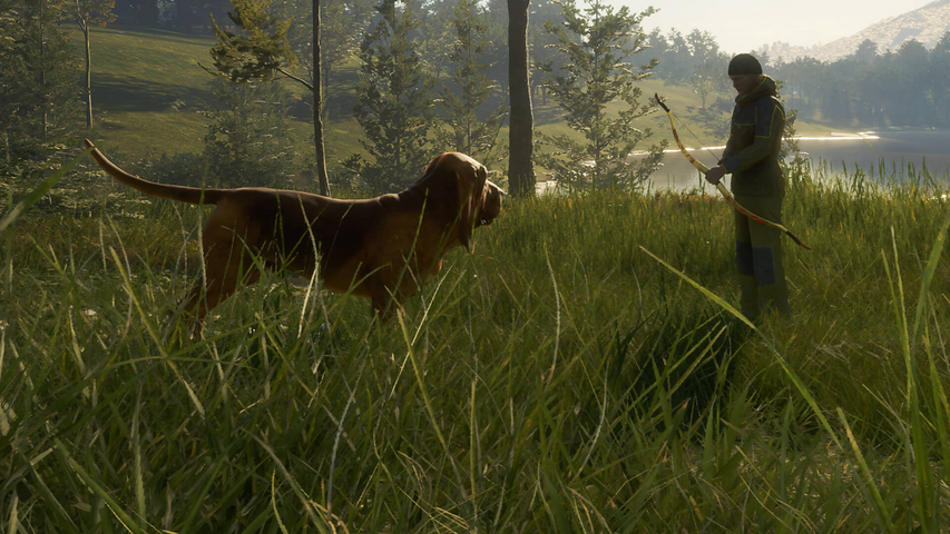 theHunter: Call of the Wild™ - Bloodhound – image 3