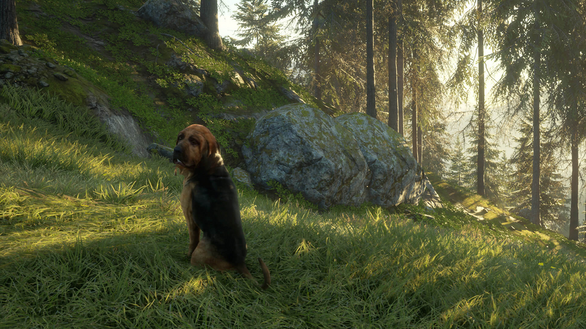 theHunter: Call of the Wild™ - Bloodhound – image 4
