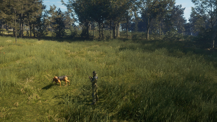 theHunter: Call of the Wild™ - Bloodhound – image 6