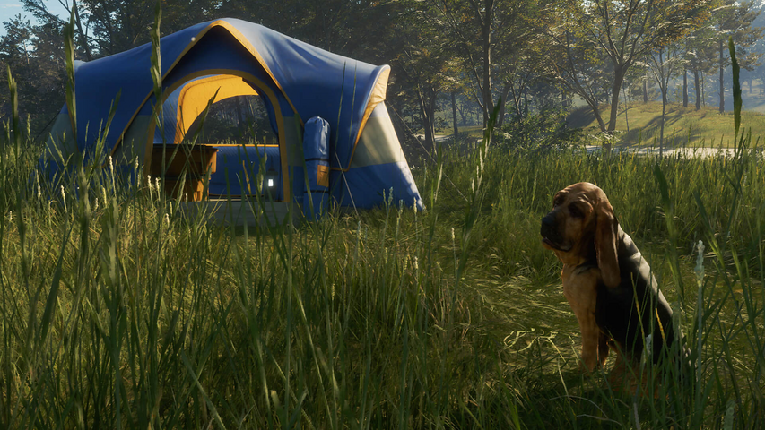 theHunter: Call of the Wild™ - Bloodhound – image 7