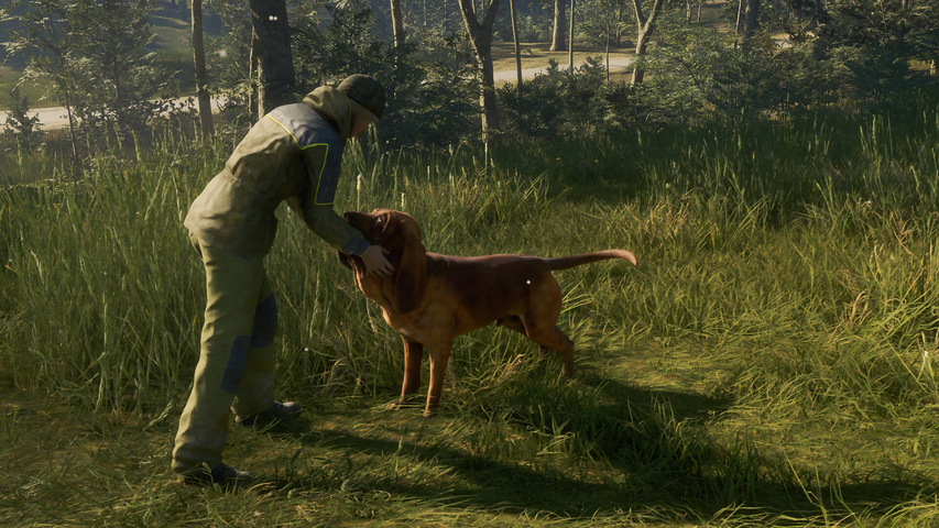 theHunter: Call of the Wild™ - Bloodhound – image 9