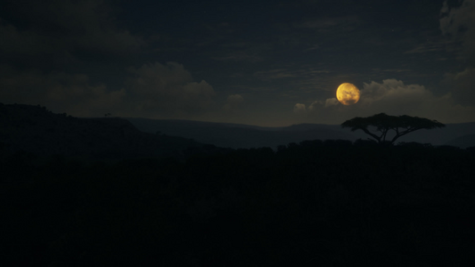 theHunter: Call of the Wild™ - Vurhonga Savanna  للبيع في مصر من خلال Games2Egypt