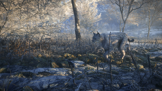 theHunter: Call of the Wild™ - Medved-Taiga  للبيع في مصر من خلال Games2Egypt