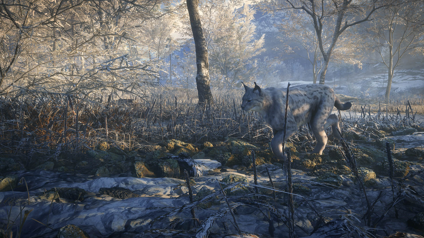 theHunter: Call of the Wild™ - Medved-Taiga – image 3
