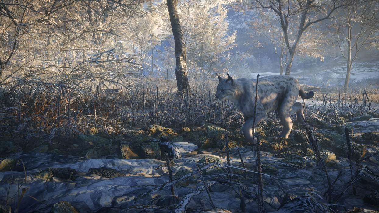 theHunter: Call of the Wild™ - Medved-Taiga  للبيع في مصر من خلال Games2Egypt