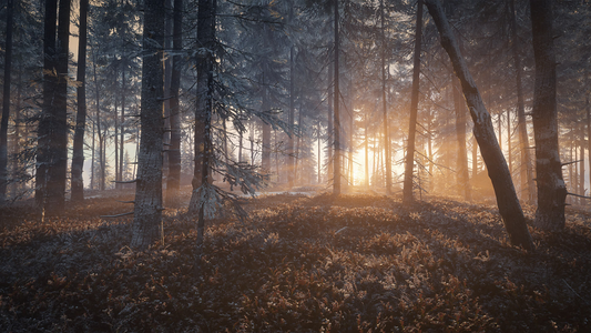 theHunter: Call of the Wild™ - Medved-Taiga  للبيع في مصر من خلال Games2Egypt