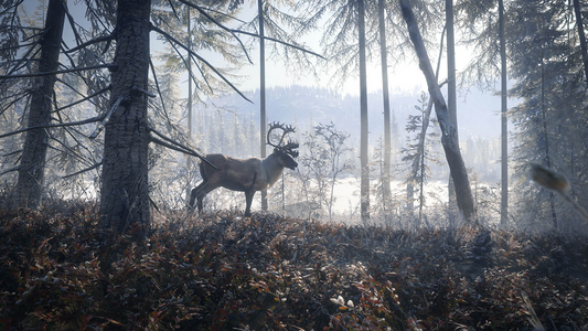 theHunter: Call of the Wild™ - Medved-Taiga  للبيع في مصر من خلال Games2Egypt