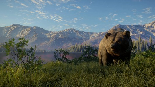 theHunter: Call of the Wild™ - Yukon Valley  للبيع في مصر من خلال Games2Egypt