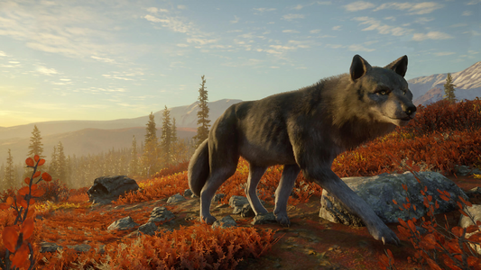 theHunter: Call of the Wild™ - Yukon Valley  للبيع في مصر من خلال Games2Egypt