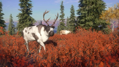 theHunter: Call of the Wild™ - Yukon Valley