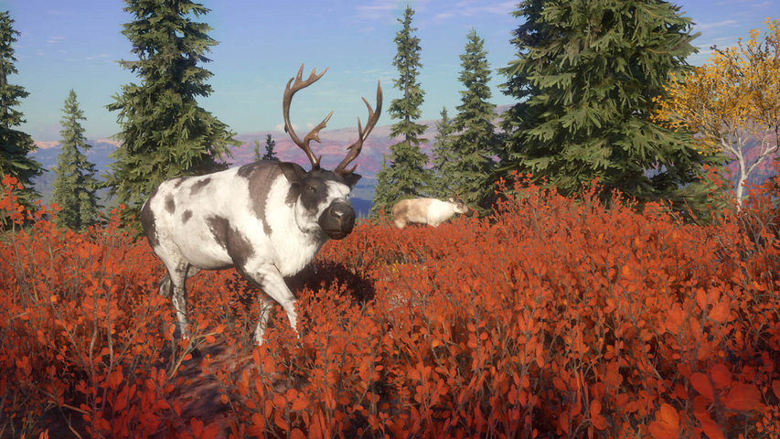 theHunter: Call of the Wild™ - Yukon Valley – image 8