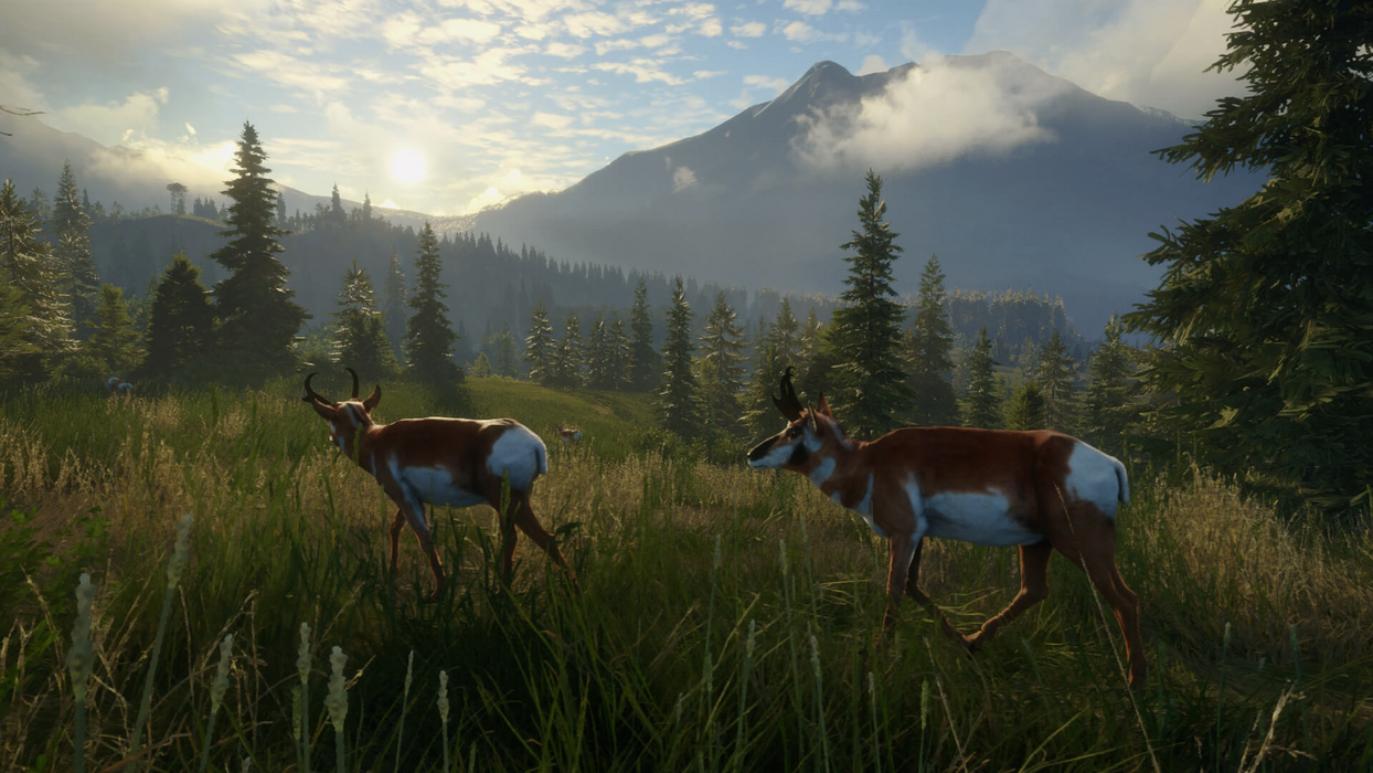 theHunter: Call of the Wild™ - Silver Ridge Peaks  للبيع في مصر من خلال Games2Egypt