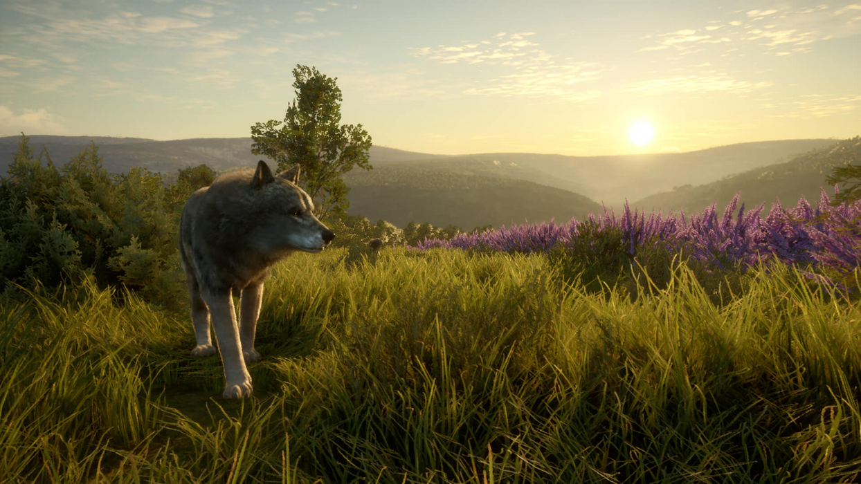 theHunter: Call of the Wild™ - Cuatro Colinas Game Reserve  للبيع في مصر من خلال Games2Egypt